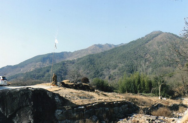 img197.jpg