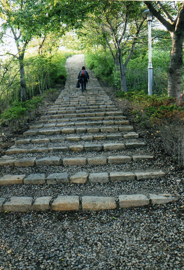 img165.jpg