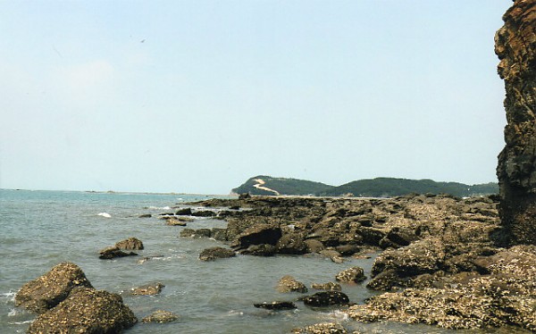 img183.jpg