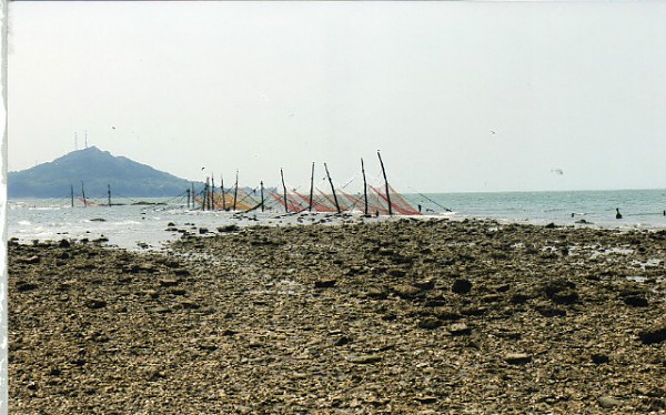img185.jpg