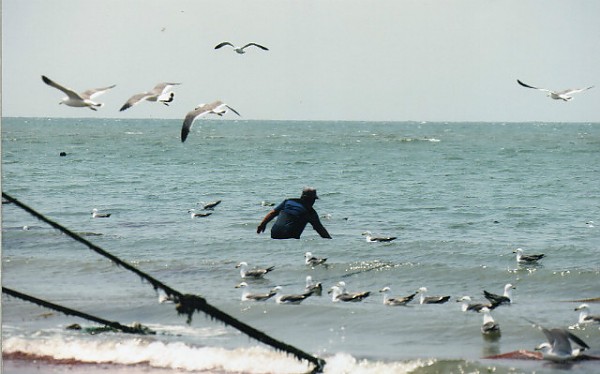 img186.jpg