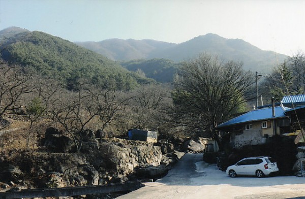 img195.jpg