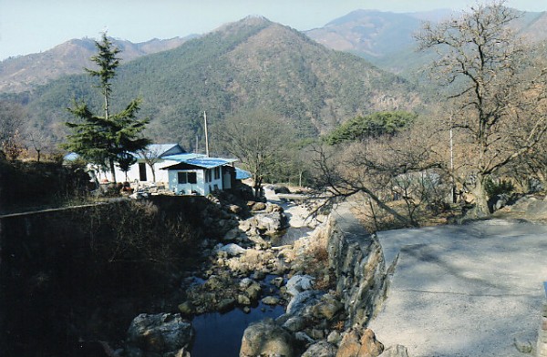 img196.jpg