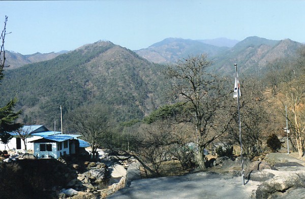 img201.jpg