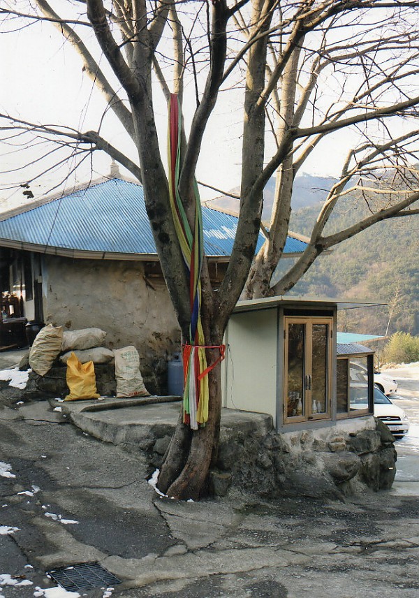 img206.jpg