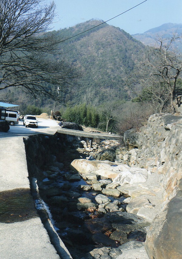 img211.jpg