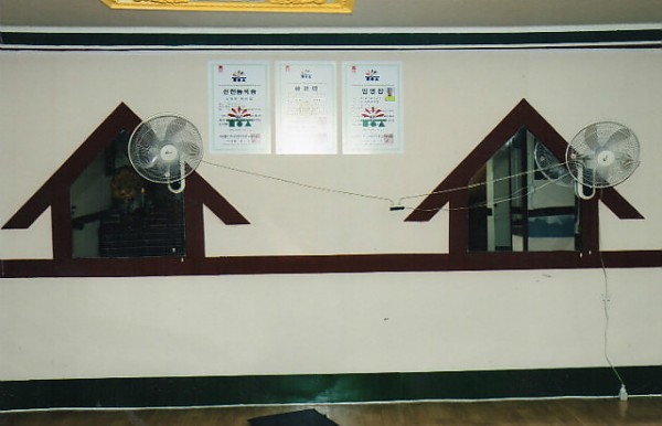 img291.jpg
