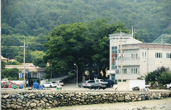 img321.jpg