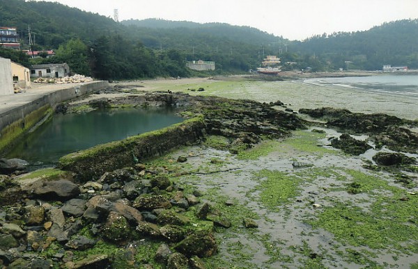 img322.jpg