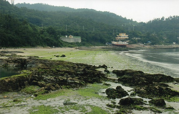 img323.jpg