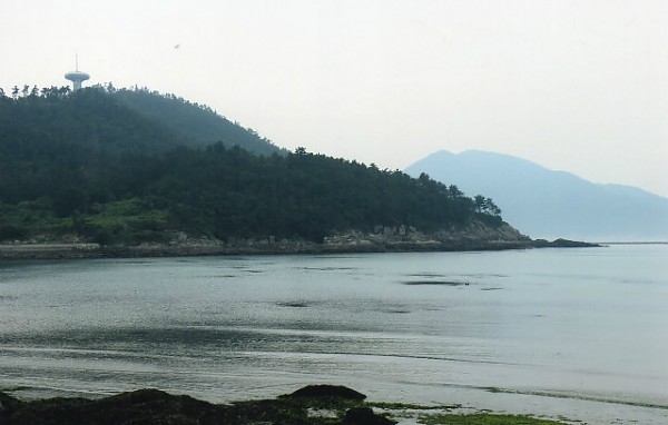 img325.jpg