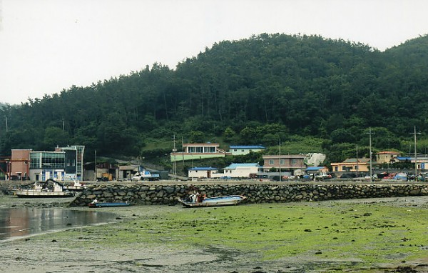 img324.jpg