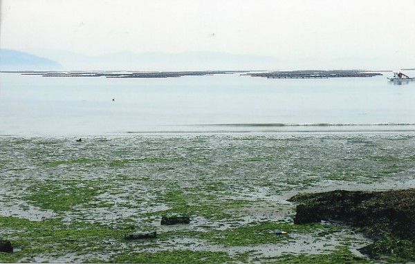img326.jpg