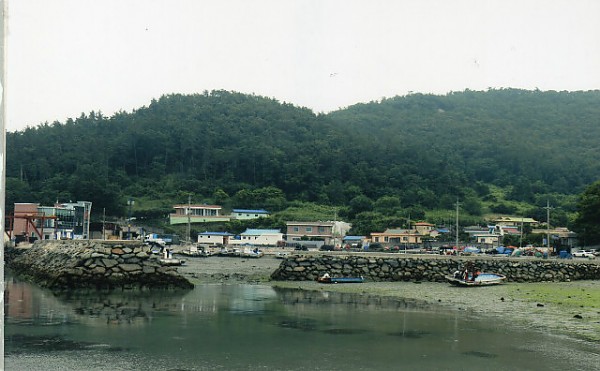 img330.jpg