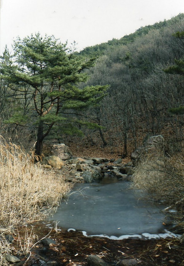 img835.jpg