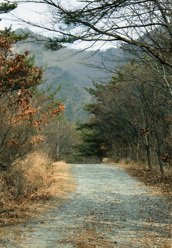 img842.jpg
