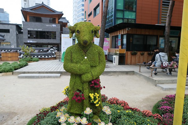 크기변환_A76O0432.JPG